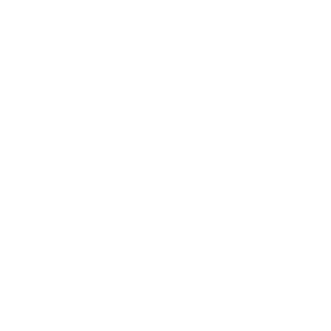 Map-Texas-White